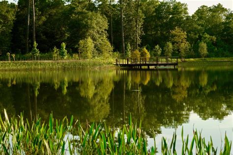 Visiting Memorial's Eastern Glades Is Like Going to a Brand New Park ...