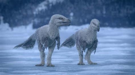 Meet the Dinosaurs of Prehistoric Planet Season 2