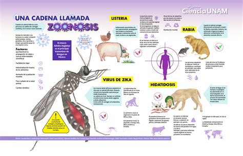 Qué es la zoonosis y cómo afecta al ser humano / Animales