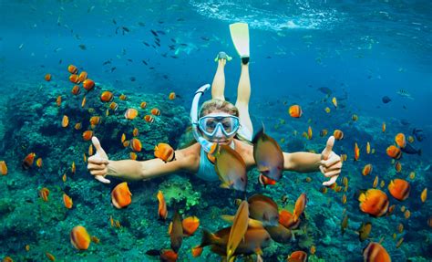 Pinel Island Snorkeling & Oyster Pond Beach Adventure in St. Maarten