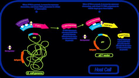 Protein Purification Methods - Protein Choices