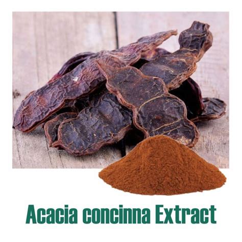 Shikakai Extract - Acacia Concinna Extract Manufacturer & Bulk Exporter