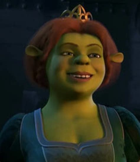 Princess Fiona Shrek Ogre