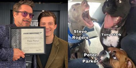 MCU: 10 Memes That Perfectly Sum Up Tony Stark and Peter Parker’s ...