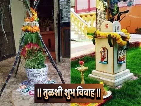 Tulsi Vivah VIDEO : घरच्या घरी तुळशी विवाह कसा करावा? संपूर्ण पूजाविधी ...