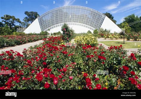 Bicentennial Conservatory in Adelaide Botanic Gardens. South Australia ...