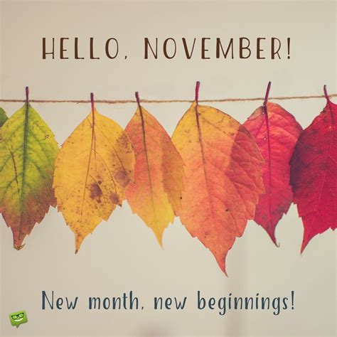 Hello November HD Wallpapers Free Download