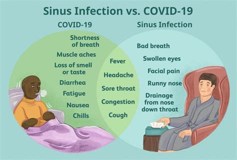 Sinus Infection vs. Cold the Differences and Similarities