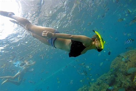 From Phuket Full Day Phi Phi Island Snorkeling Tour | Triptipedia