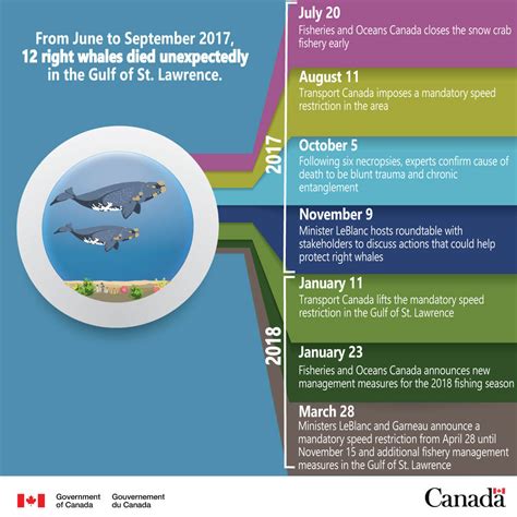 NAV CANADA Drone surveillance protecting endangered whales