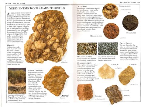 Sedimentary rock Minerals Crystals, Rocks And Minerals, Rocks And ...