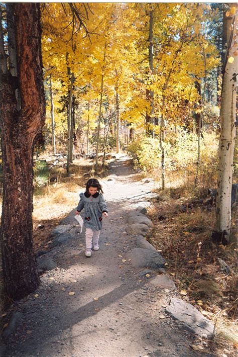 Fallen Leaf Lake - About Lake Tahoe