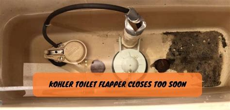 How to Replace Kohler Toilet Flapper? The Easy Guide!