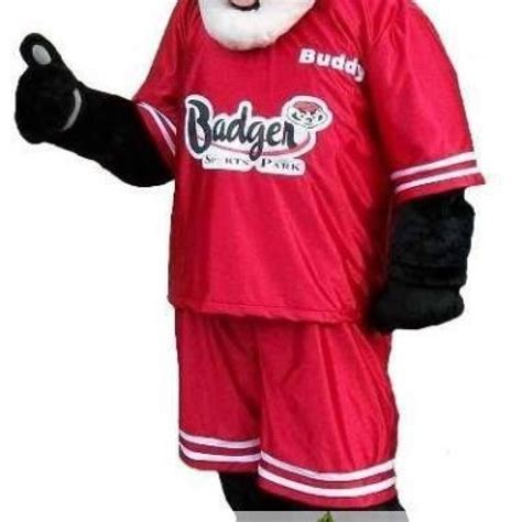 Badger Animal Mascot Costume | TrexMascot