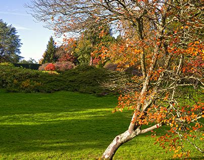 Sheffield Park this autumn | Behance