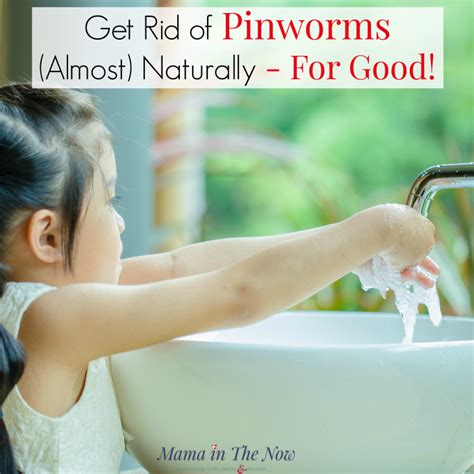 How to Treat Pinworms (Almost) Naturally - For Good