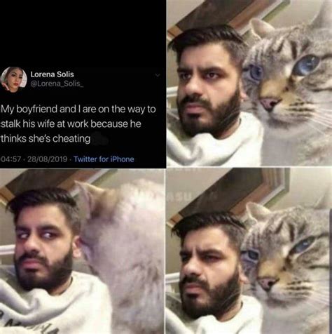 Suspicious Man And His Suspicious Cat : r/MemeTemplatesOfficial