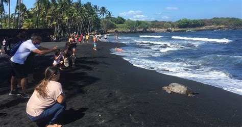 Small Group Big Island Tour - Hawaii Volcanoes National Park and Kona ...