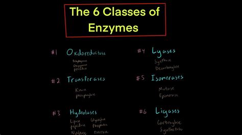 The 6 Classes of Enzymes w/ Mechanisms (oxidoreductase transferase ...