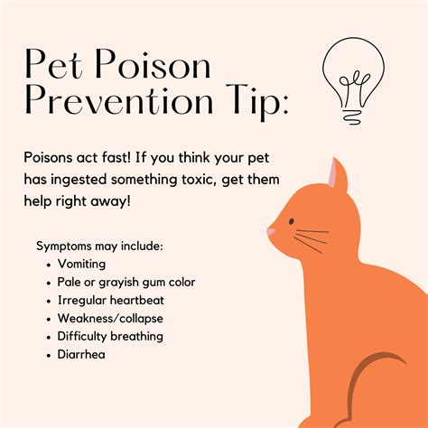 Marketing Guide For Pet Poison Prevention Month | WhiskerCloud