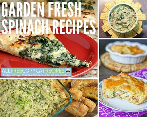 Garden Fresh Spinach Recipes: 7 Copycat Recipes for Spinach | AllFreeCopycatRecipes.com