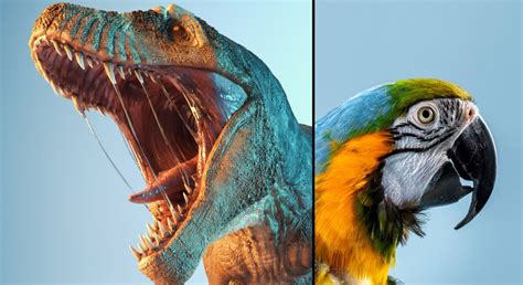 Giant study reveals evolution of birds from dinosaurs to present day ...