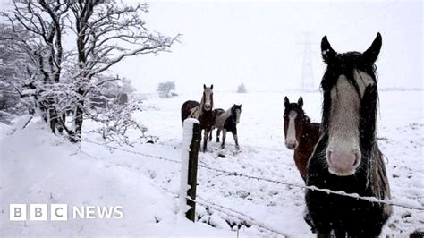 Snowy scenes from Northern Ireland