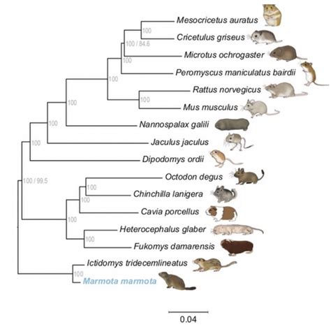 Chapter 5: Species Concepts – Introductory Biology 2