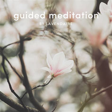 Guided Meditation for Self Love - Lavendaire