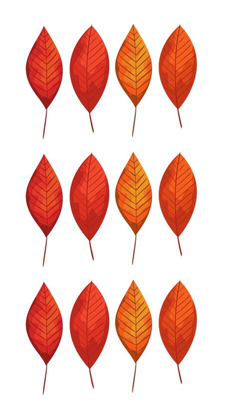 a set of nine orange leaves on a white background