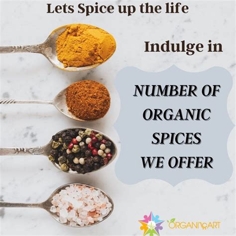 Organic Food Brands India | Organicart - OrganiCart Nutrition And Hospitality Pvt. Ltd. - Medium