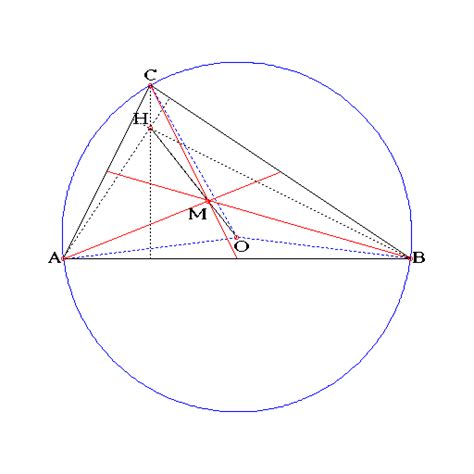 Euler Line Exists Theorem