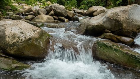 Relaxing River Sounds, Piano Music, Forest sounds, Amazing Nature ...