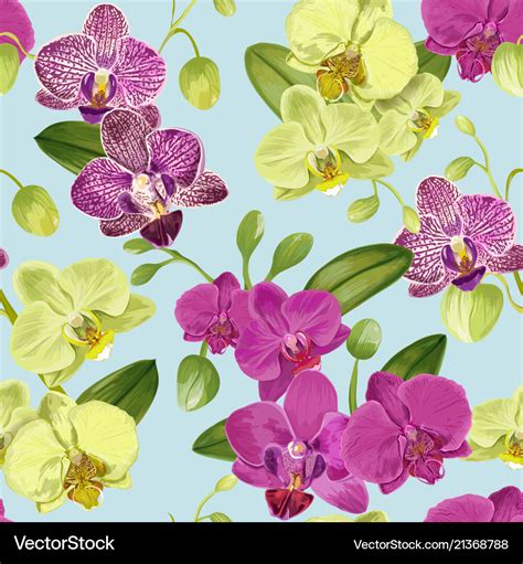 Seamless tropical pattern with orchid flowers Vector Image