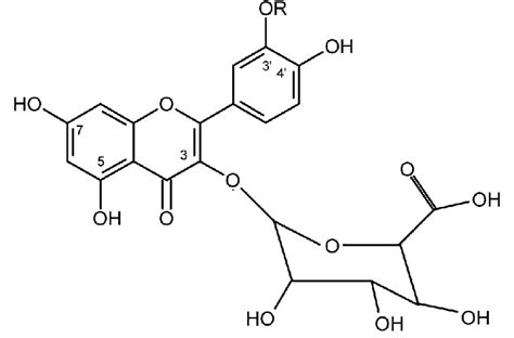 Molecular structure of glucuronidated flavonoid metabolites R＝H ...