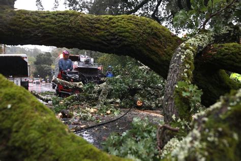 Latest bomb cyclone left record rainfall, heavy snowfall and flooding ...