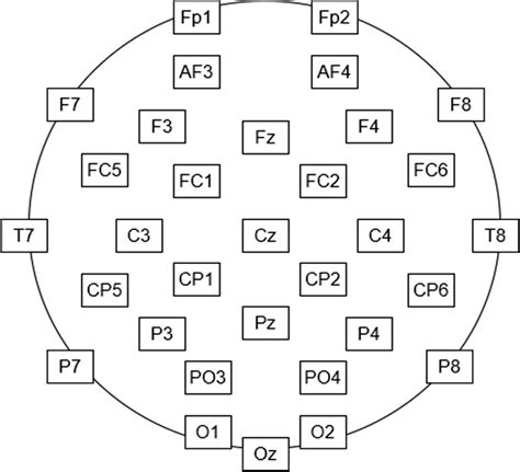 Electrodes placement for EEG recording (32 electrodes) | Download ...