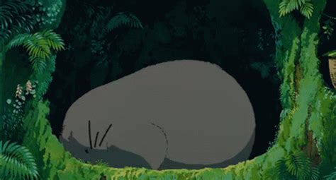 寝る トトロ ジブリ GIF - Totoro Studio Ghibli - Discover & Share GIFs