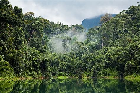 What Are The Different Types Of Fog? - WorldAtlas