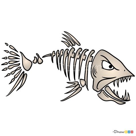 How to Draw Fish Bones, Skeletons