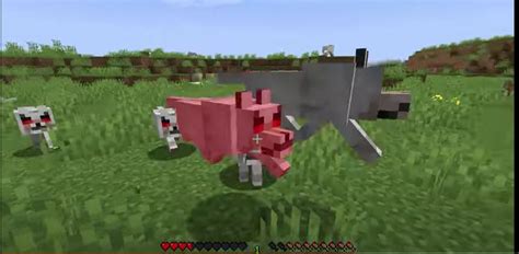 Never attack a wolf in Minecraft! by LailahPluto8 on DeviantArt