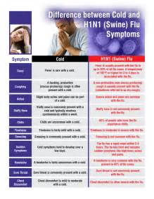 Recognize H1N1 (Swine) Flu symptoms, defend yourself > Royal Air Force ...