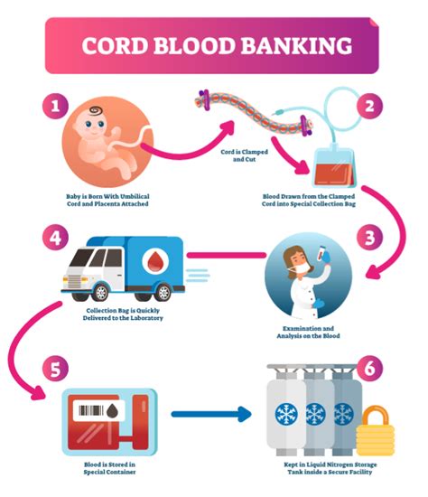 Cord Blood Banking | Cord Blood Banking Benefits | Cord Blood Uses | Autism - Tech Bytes Online