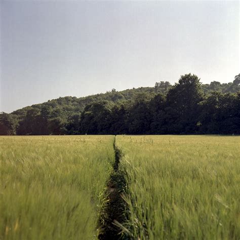 Analog Photography | Landscape photography, Photo, Landscape