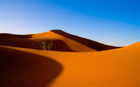 Desert Full HD Wallpaper and Background Image | 1920x1200 | ID:448018