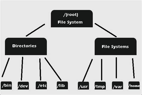 What Is File System With Example - Design Talk