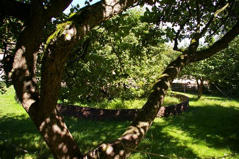 Woolsthorpe Manor, Newton's apple tree | debs-eye | Flickr