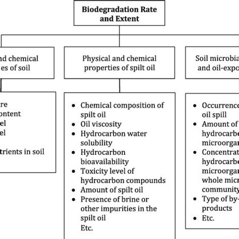 Influencing factors on the biodegradation process | Download Scientific Diagram