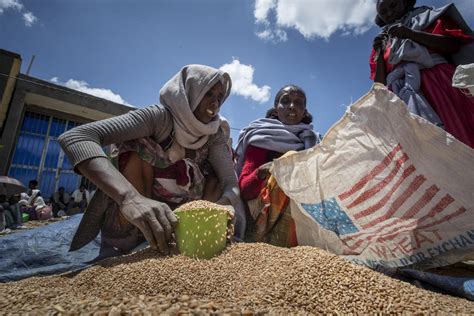 US resumes some food aid deliveries to Ethiopia after assistance was halted over 'widespread' theft