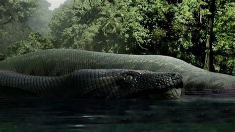 Titanoboa monster snake